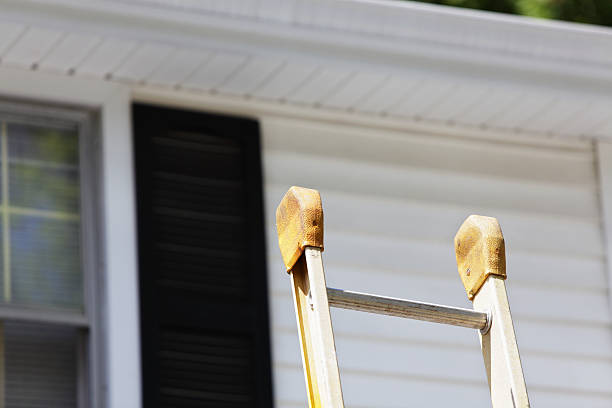 Best Stone Veneer Siding  in Georgiana, AL