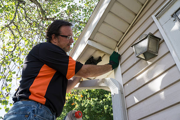 Best Insulated Siding Installation  in Georgiana, AL